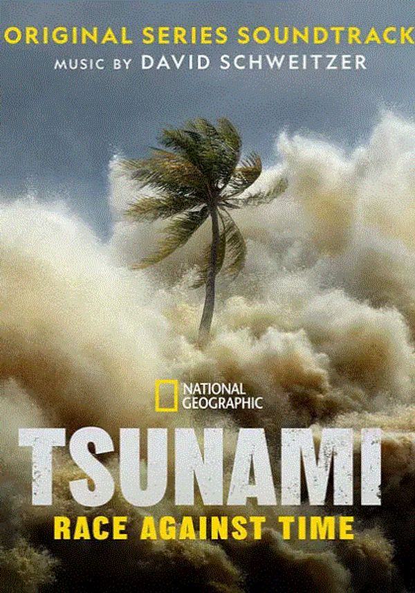 海啸：与时间赛跑封面图