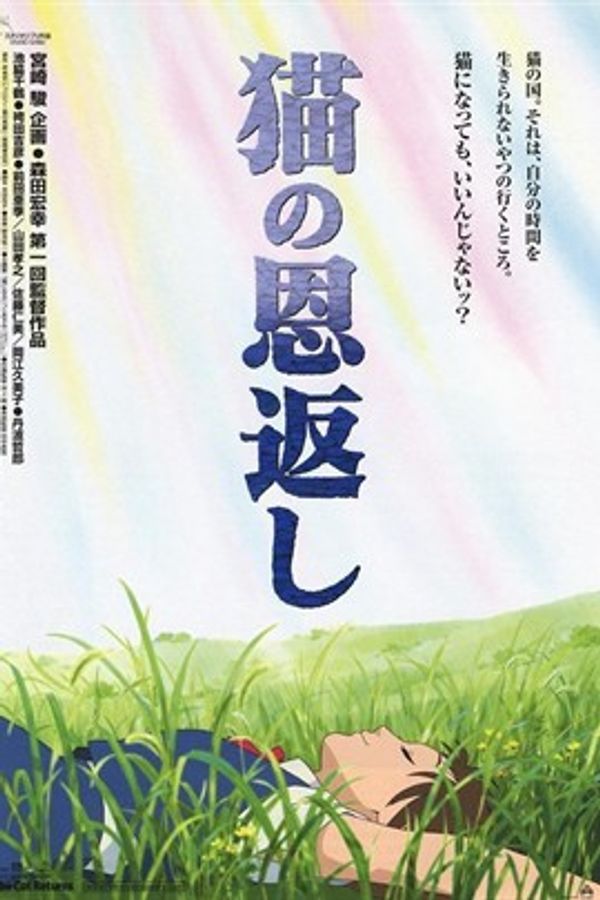 猫的报恩封面图