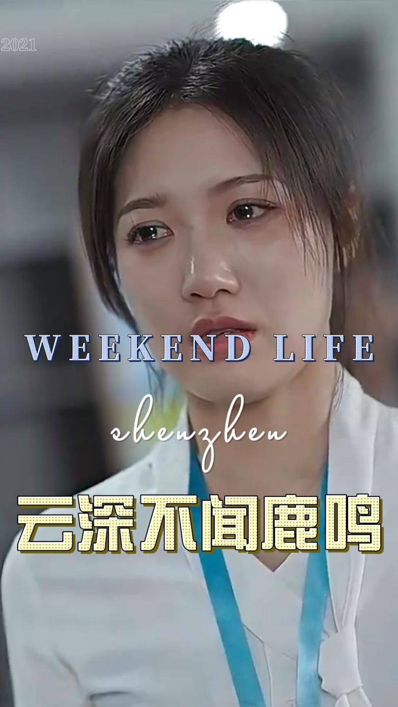 云深不闻鹿鸣封面图