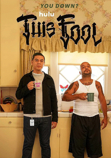 这个傻瓜封面图