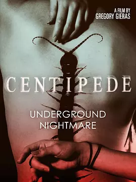 蜈蚣2004封面图