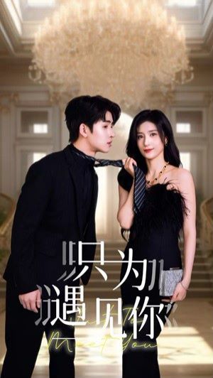 只为遇见你封面图