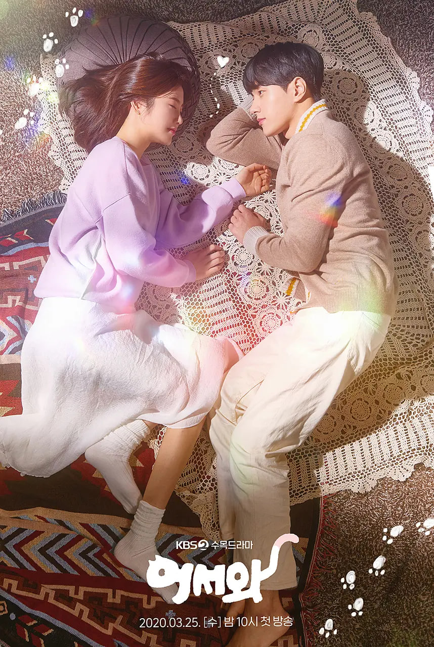 你回来了封面图