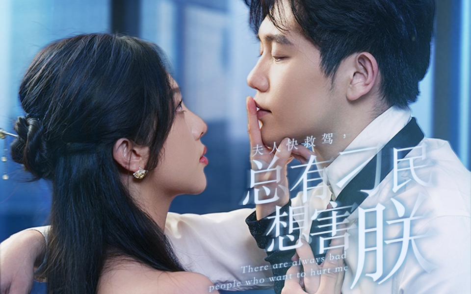 夫人快救驾，总有刁民想害朕封面图