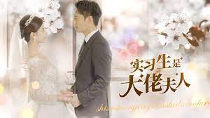 实习生是大佬夫人封面图