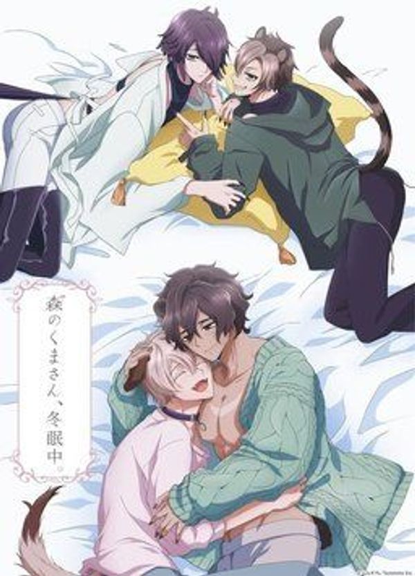 森林里的熊先生、冬眠中。封面图