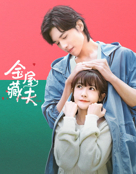 金屋藏夫封面图