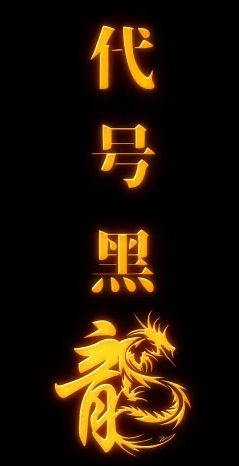 代号黑龙封面图