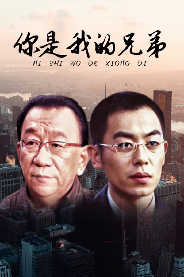 你是我的兄弟封面图