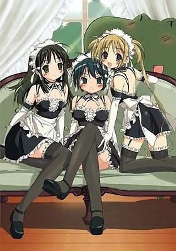 这就是我的主人封面图