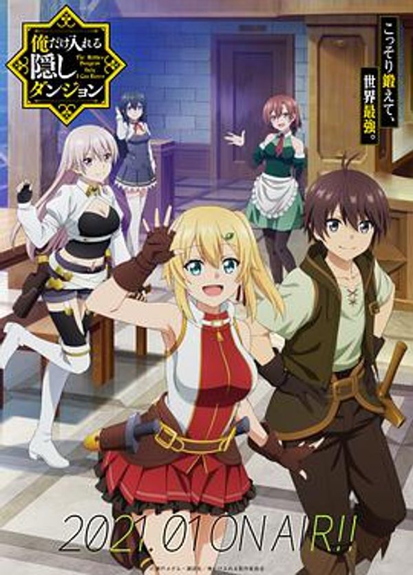 只有我进入的隐藏地下城封面图