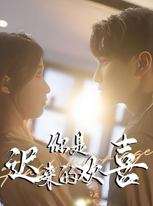 你是迟来的欢喜封面图