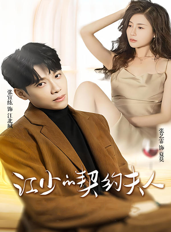 江少的契约夫人封面图