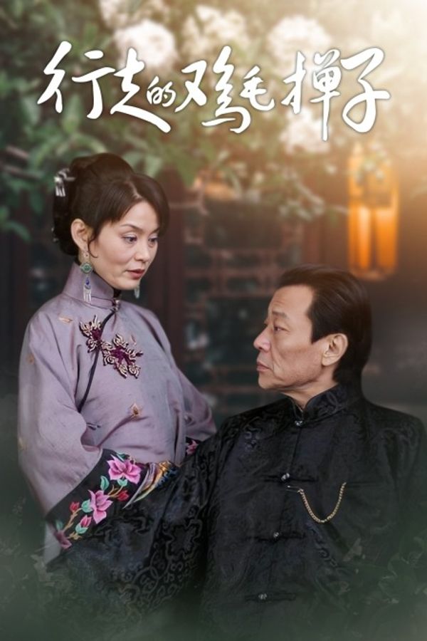 行走的鸡毛掸子封面图