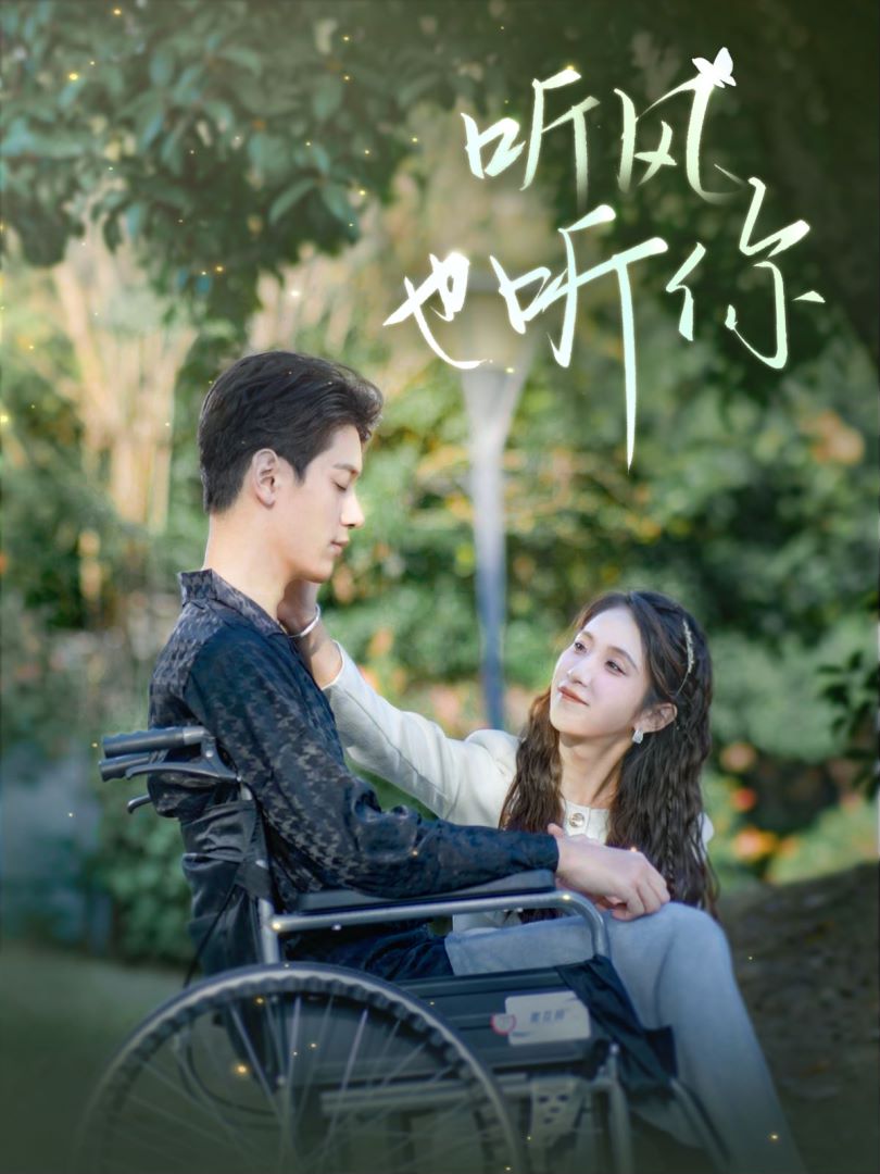 听风也听你封面图