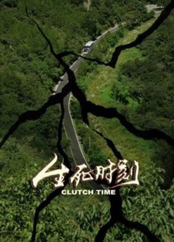 生死时刻封面图