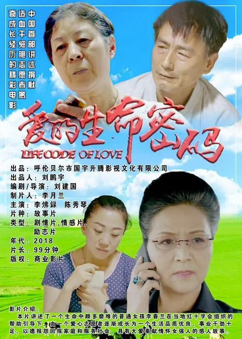 爱的生命密码封面图