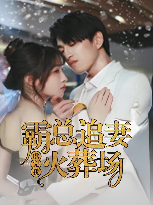 虐完我，霸总追妻火葬场封面图