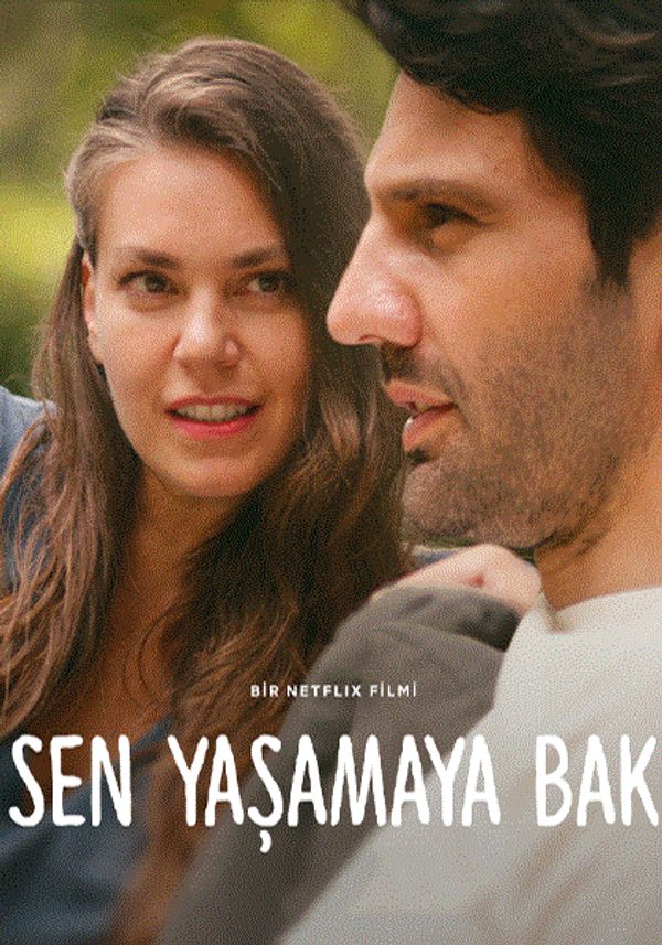 可靠港湾封面图