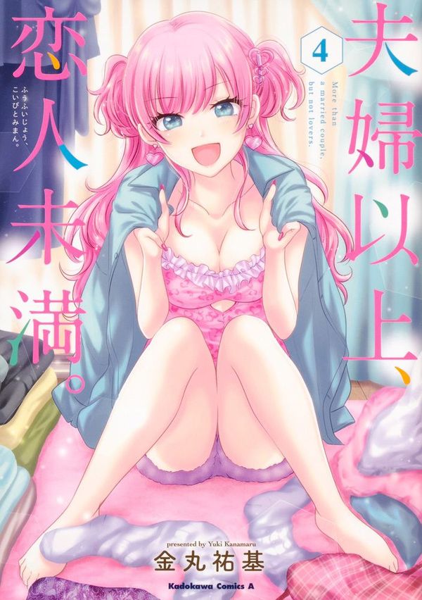 夫妇以上，恋人未满封面图