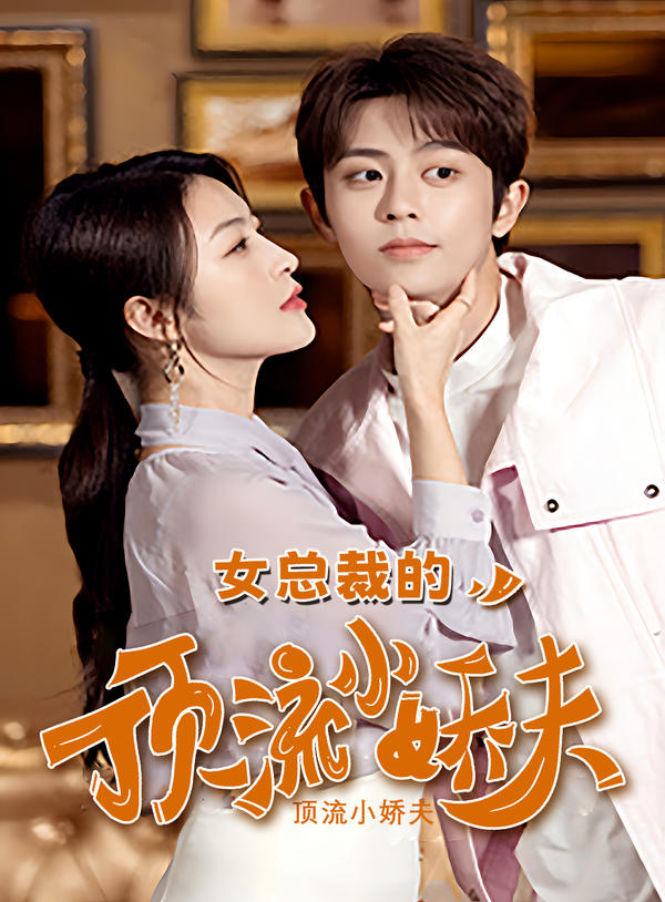 女总裁的顶流小娇夫封面图