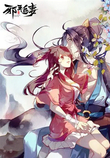 邪王追妻封面图