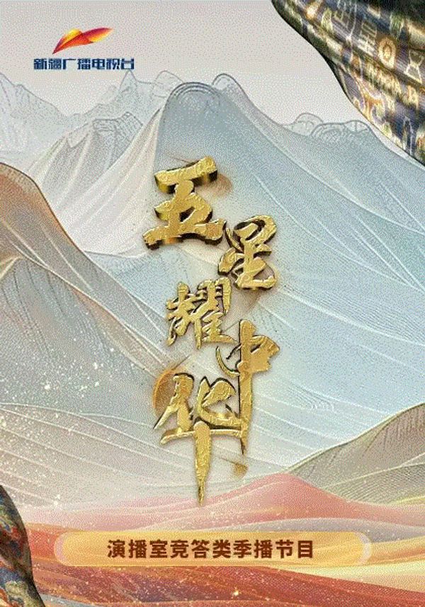 五星耀中华封面图