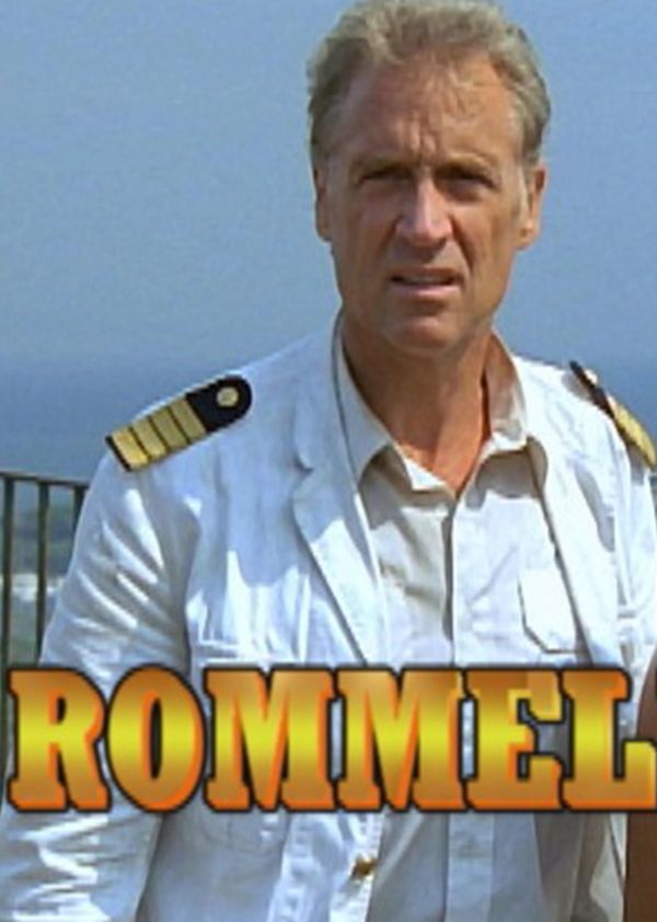 隆美尔的金子封面图