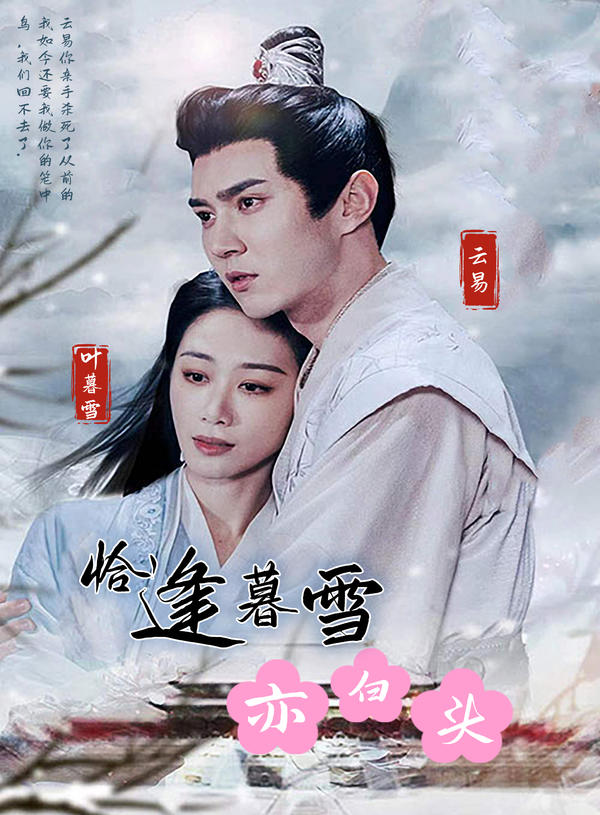 恰逢暮雪亦白头封面图