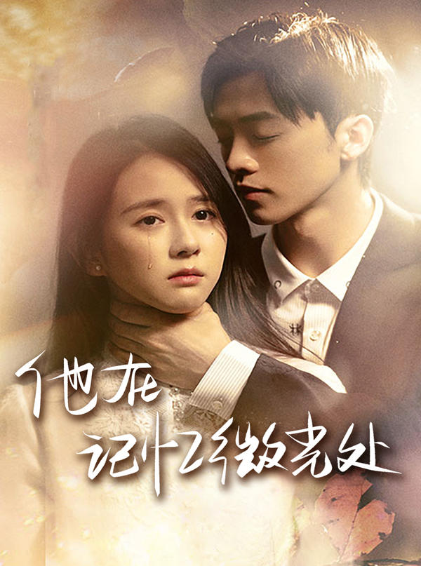 他在记忆微光处封面图