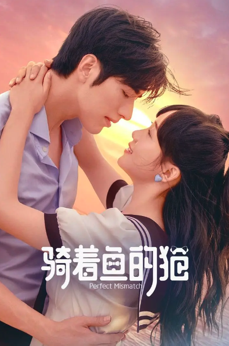 骑着鱼的猫封面图