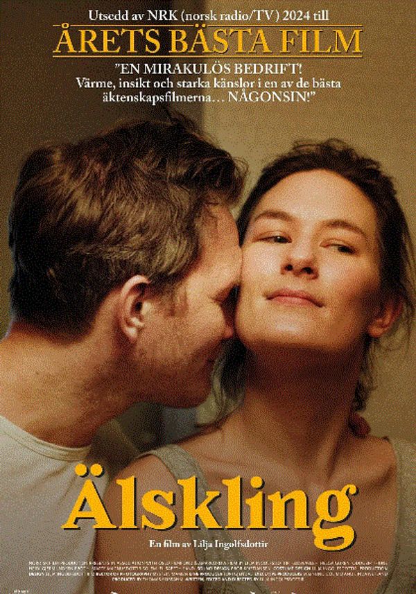 爱的暂停键封面图