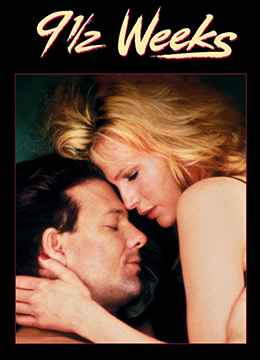 爱你九周半封面图