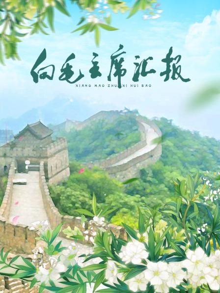 向毛主席汇报封面图