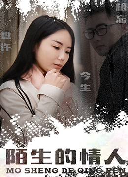 陌生的情人封面图