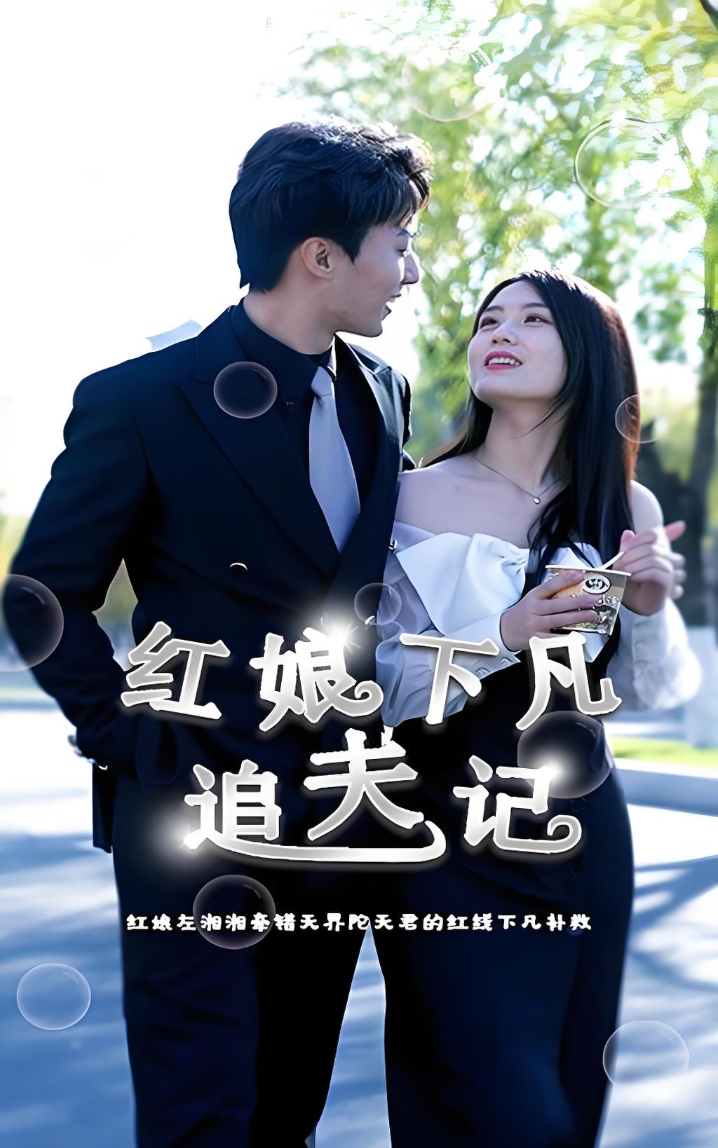 红娘下凡追夫记封面图