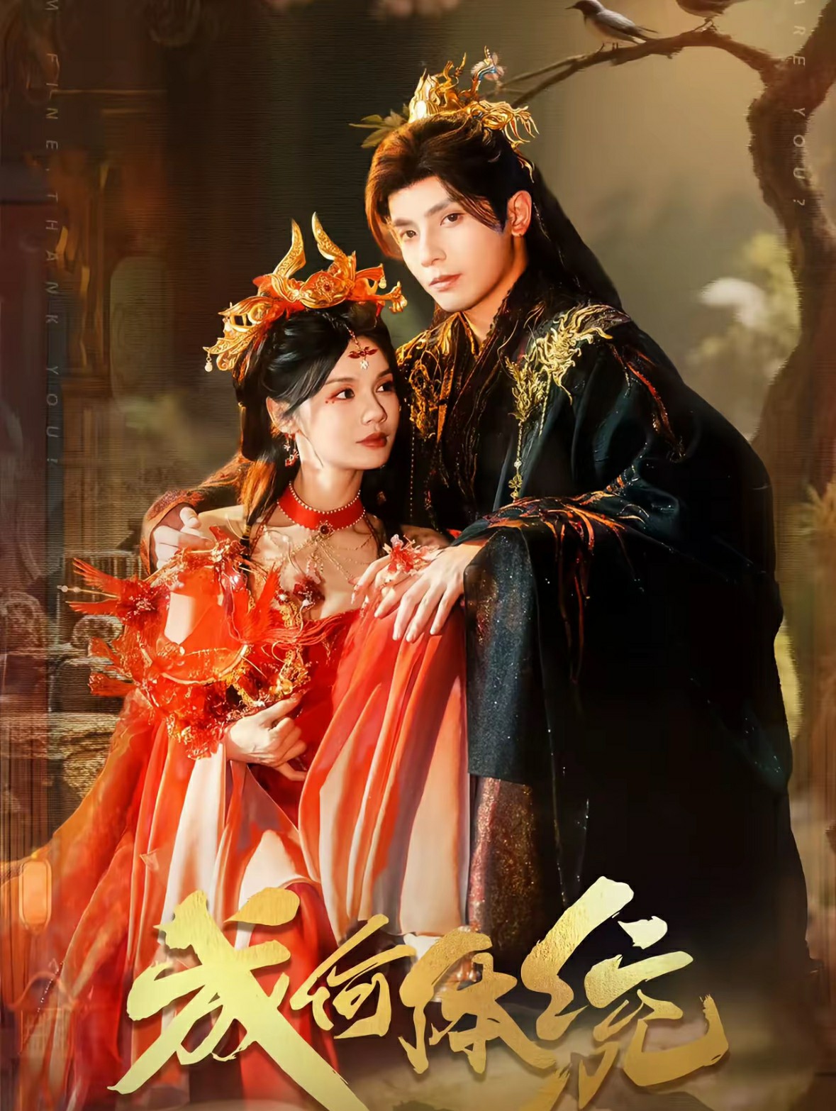 成何体统封面图