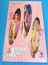 不羁的心封面图