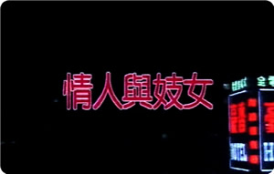 情人与妓女封面图