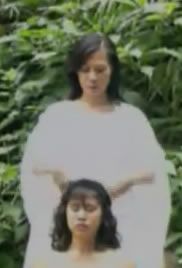 化骨棉掌封面图