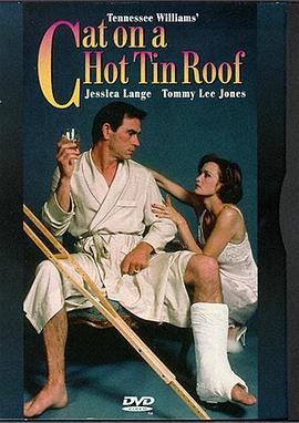 热铁皮屋顶上的猫封面图