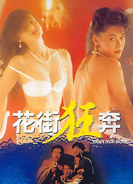 花街狂奔封面图