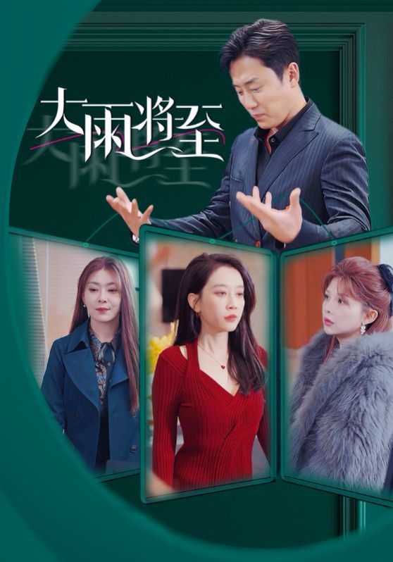 大雨将至封面图