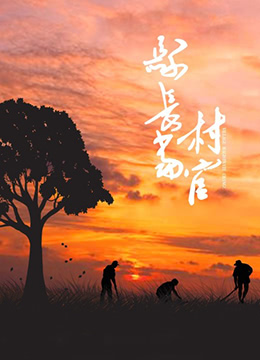 县长当村官封面图