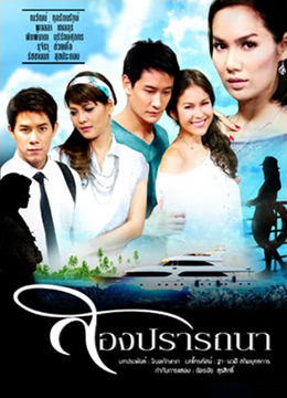 爱的新生封面图