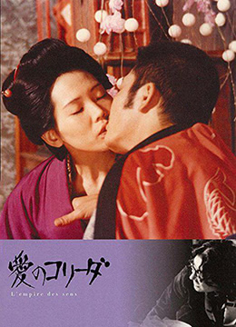 感官世界封面图