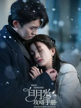 白月光攻略手册封面图