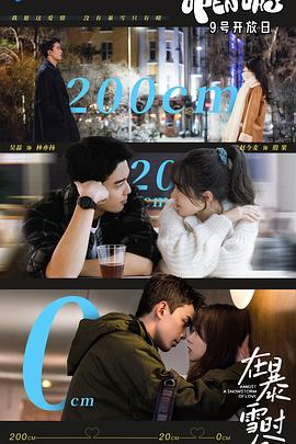 在暴雪时分封面图