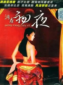 初夜洞房档案封面图