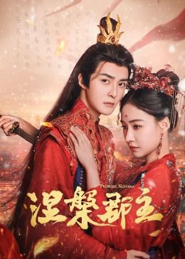 穿越时空的密令封面图